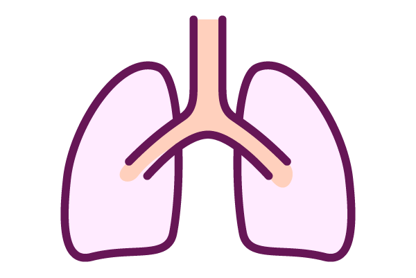 肺のアイコン6