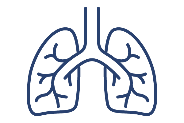 肺のアイコン2