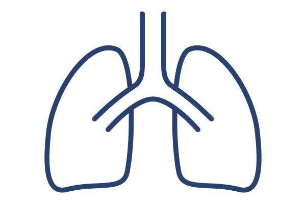 肺のアイコン3