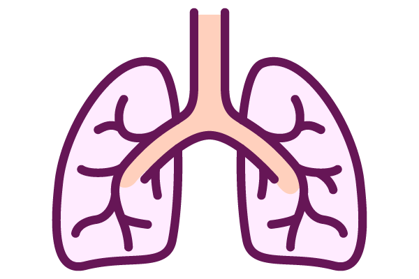 肺のアイコン5
